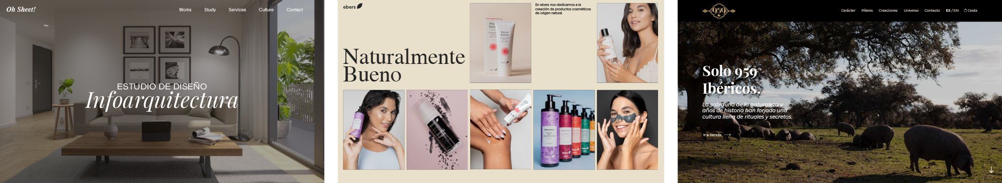 Servicios 1 agencia de diseño web en Dos Hermanas
